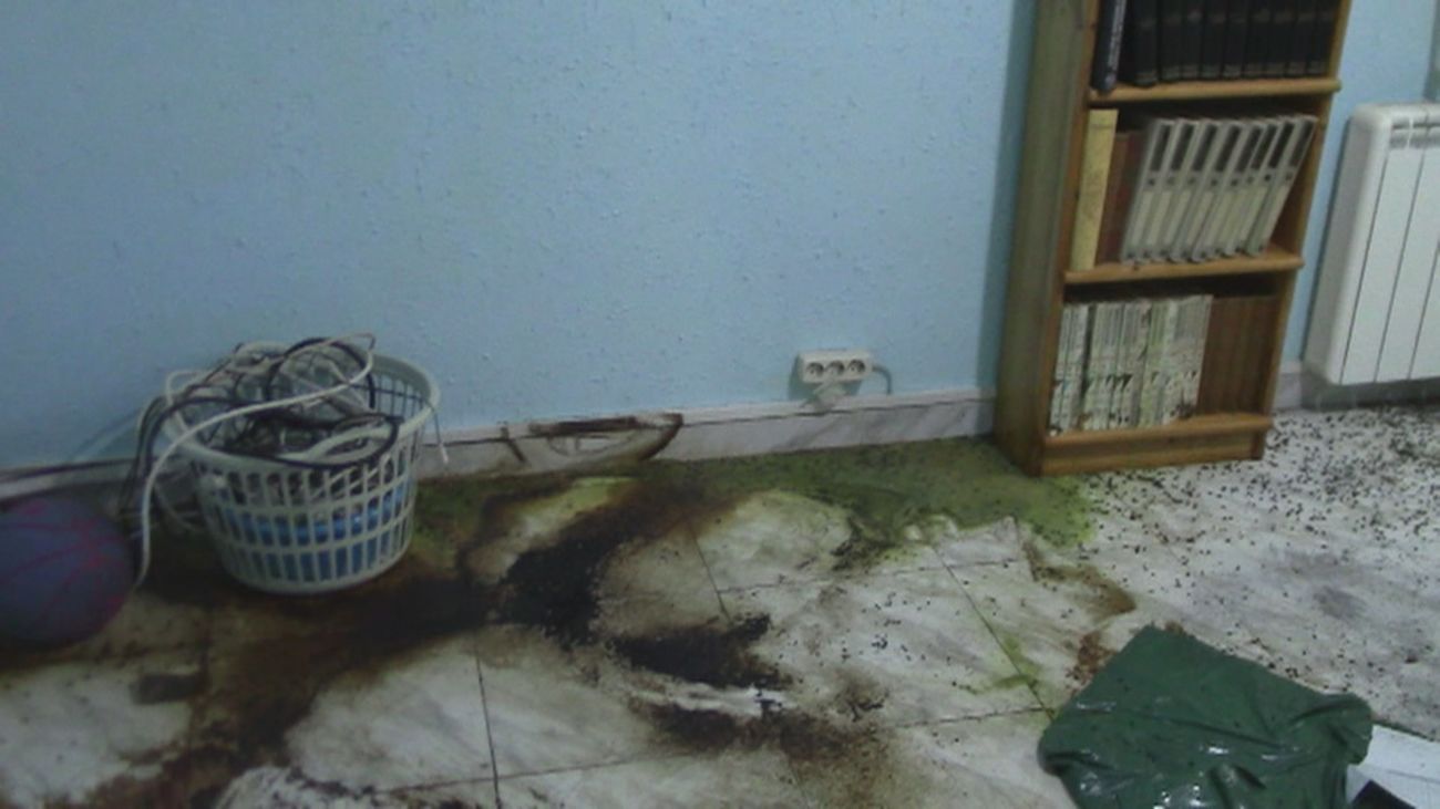 El vigilante que halló el crimen de Pioz se encontró seis bolsas grandes y el suelo lleno de sangre