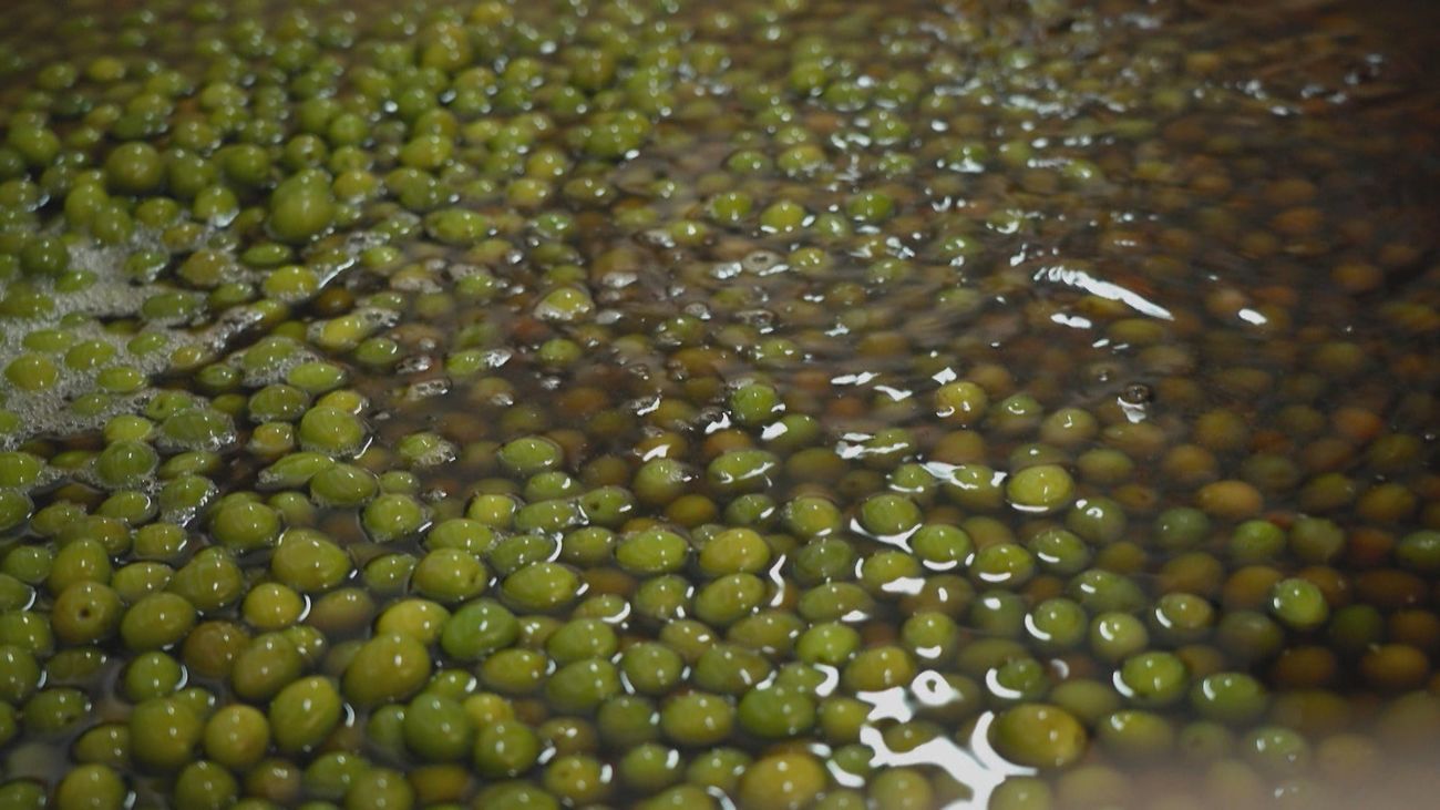 Aquí se hace 21.10.2024