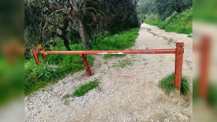 (27-10) Disfruta-Madrid (LIMPIA) - P10000570C0279HDP0_93964 / Redacción