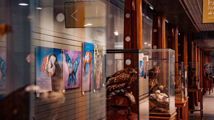 Exposición en el Museo de Ciencias Naturales / MNCN