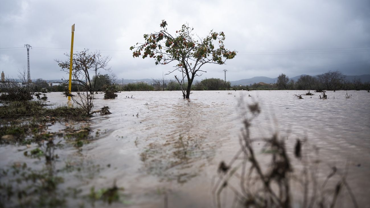 Lucía, atrapada durante horas en su coche por la DANA: "No nos dan información. No podemos hacer nada"