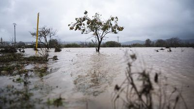 Lucía, atrapada durante horas en su coche por la DANA: "No nos dan información. No podemos hacer nada"