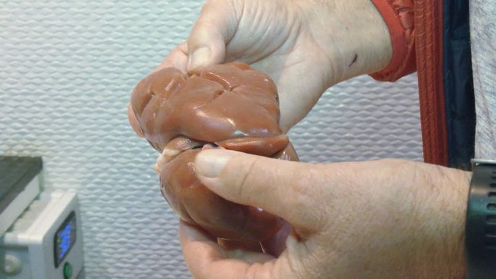 Casqueria / Redacción