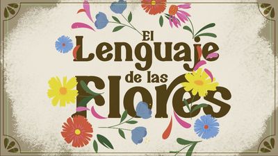 ¿Qué significado tiene cada flor en el lenguaje secreto de las flores?