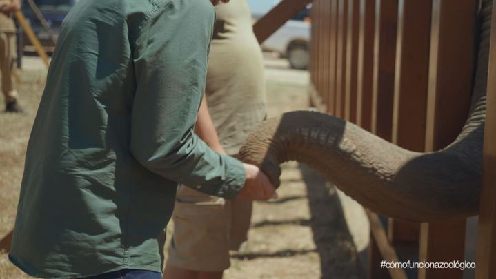 Alice y Baby elefantes del Safari / Redacción