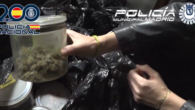 Incautados 14 kilos de hachís y marihuana en un local de "terapias alternativas" de la calle Claudio Coello