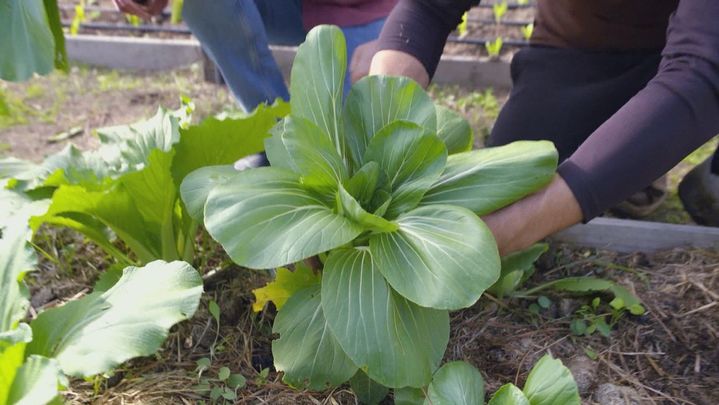 Col-china / Redacción