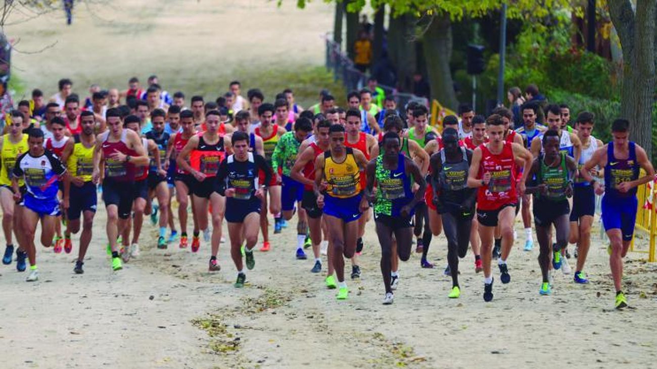 Los Mejores Atletas Del Mundo Se Miden En El Cross De Alcobendas Los Mejores Atletas Del Mundo Se Miden En El Cross De Alcobendas