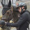Madrid, capital de la hípica mundial con la Ifema Madrid Horse Week