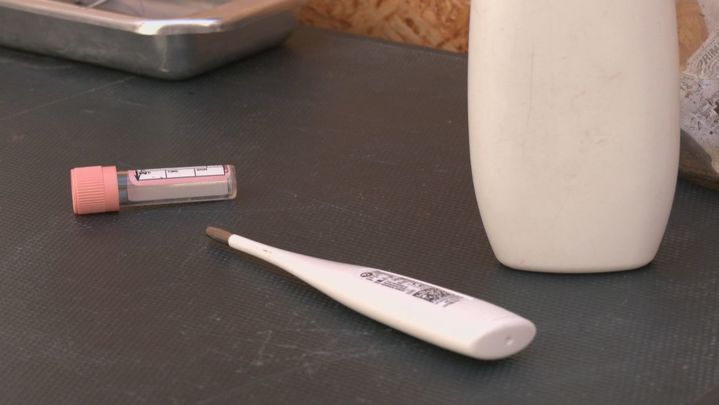 Consultorio gallinas / Redacción