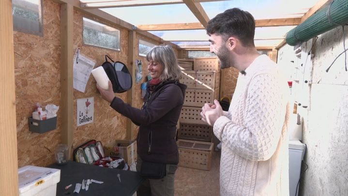 Consultorio de Alicia / Redacción