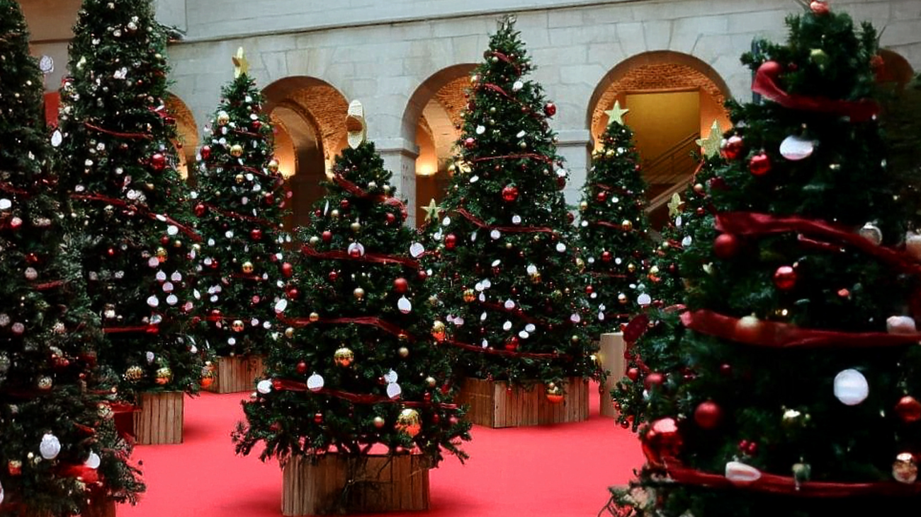 El Bosque de los Deseos llega a Madrid con magia, juegos y mensajes para el año nuevo