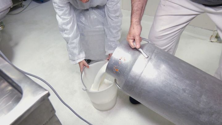 Leche de cabra / Redacción