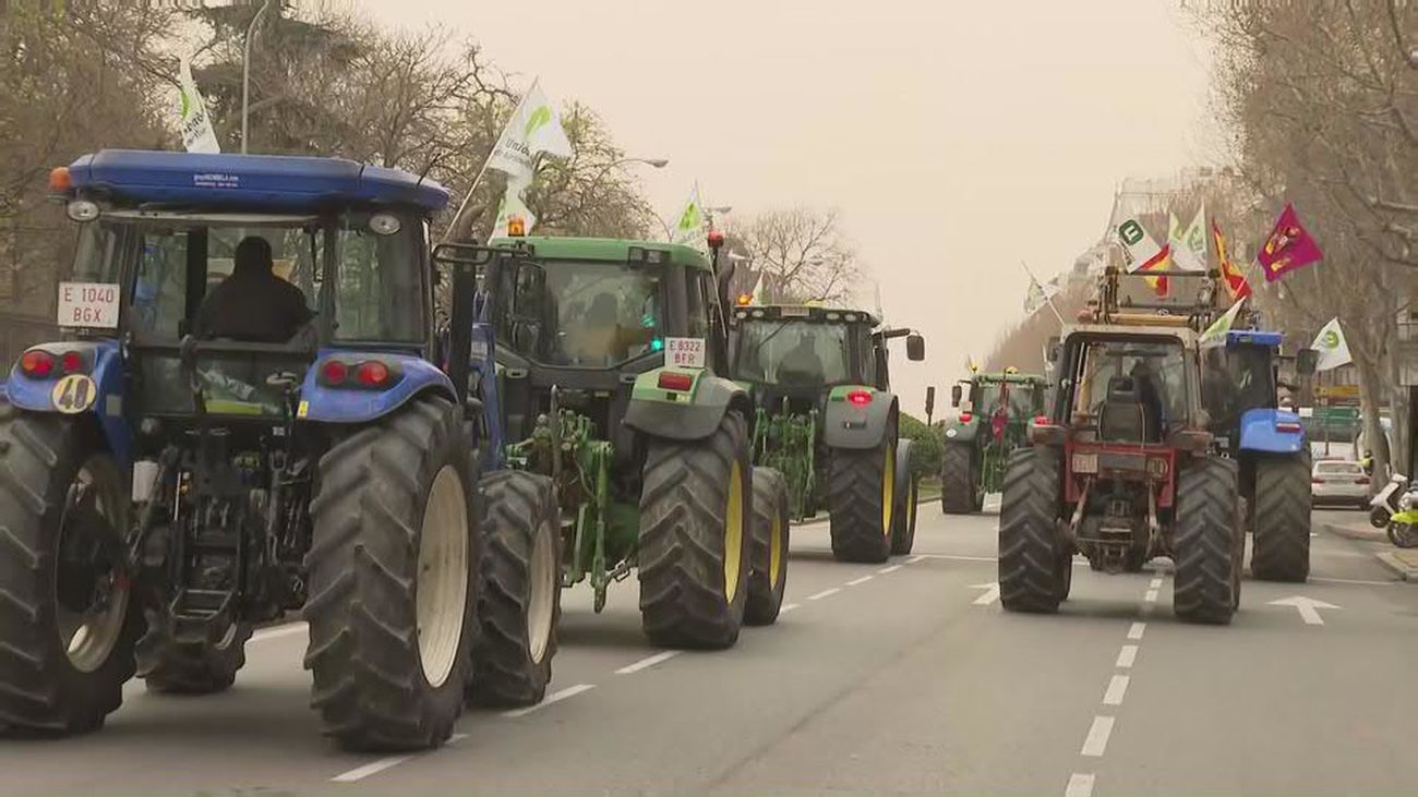 Nueva protesta en Madrid del sector agrario por el pacto con Mercosur que, afirman, traerá peor producto