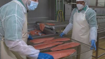 Visitamos en Madrid la primera empresa en ahumar salmón en España