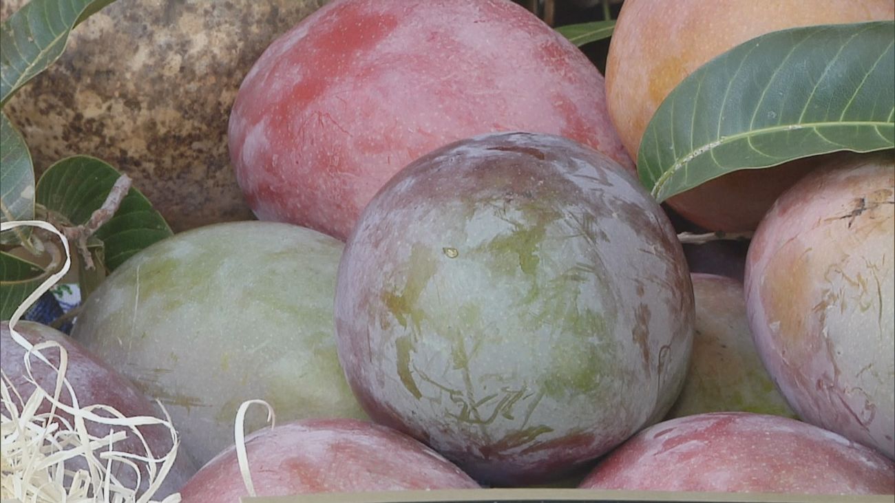 Madrid mejora tu vida 14.12.2024