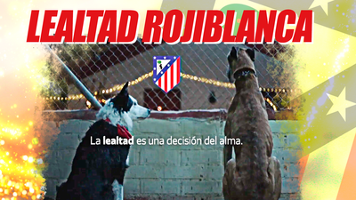 La emotiva felicitación de Navidad del Atlético de Madrid promoviendo una adopción responsable de mascotas