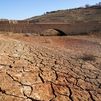 La Tierra en 2024: 41 días de "calor peligroso" con "sufrimiento implacable"