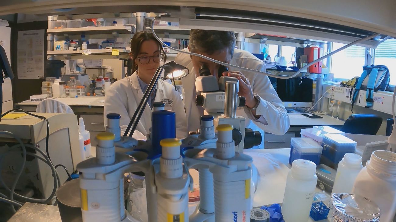 Una esperanza para Abril:  este tratamiento podría revertir los efectos de la paraplejia espástica