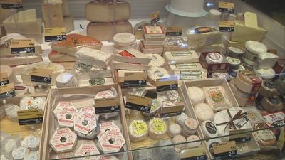 Madrid mejora tu vida 01.01.2025