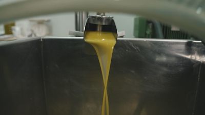 El molino harinero de Titulcia convertido en almazara para la producción de aceite con Denominación