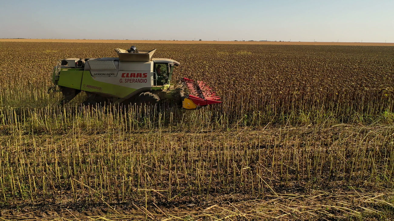 Cooperativa Agrarias de Madrid ofrecerán sus productos en el Ensanche de Vallecas