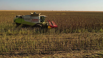 Cooperativa Agrarias de Madrid ofrecerán sus productos en el Ensanche de Vallecas