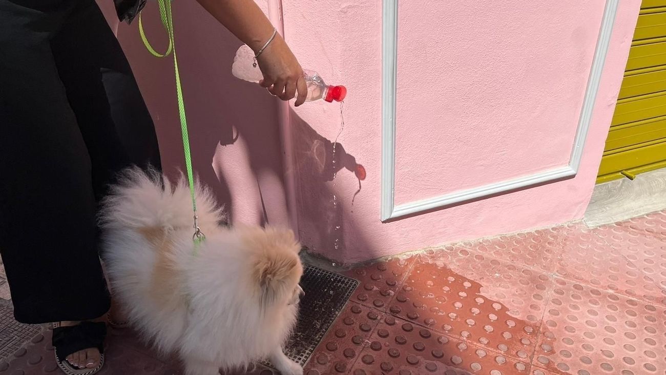 En Alcalá si no limpias el pis de tu perro en la calle te puede costar muy caro