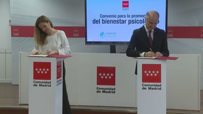 Madrid potenciará los programas de atención a la salud mental
