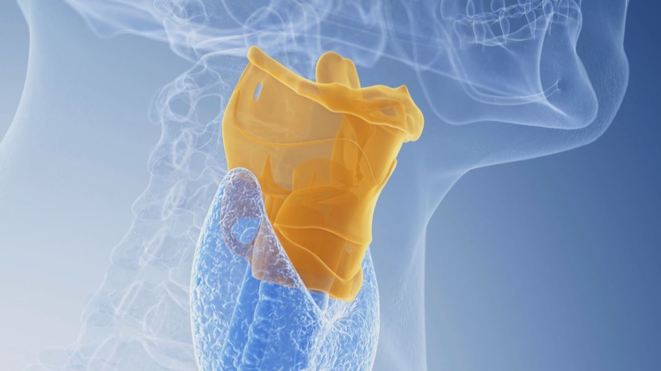 ¿El frío debilita el sistema inmunológico?