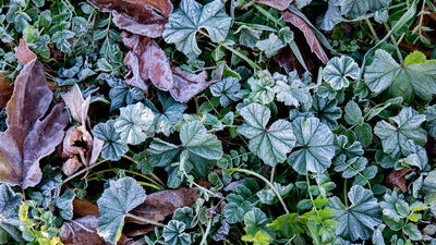 Lunes despejado con heladas moderadas y un descenso de las temperaturas en Madrid