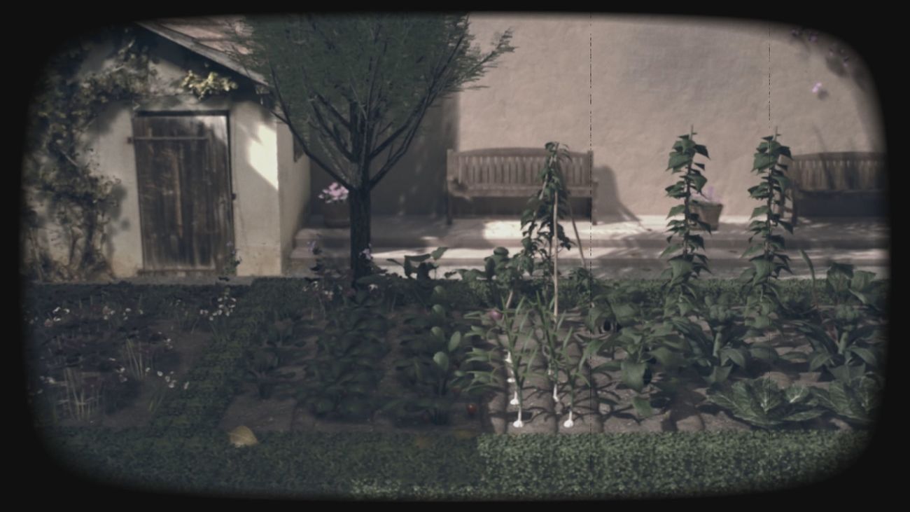 Rosas, jazmines, tulipanes o lirios del ‘huertecillo’ de Lope de Vega que inspiraron al escritor