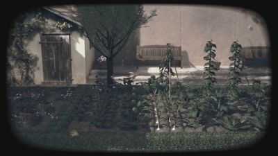 Rosas, jazmines, tulipanes o lirios del ‘huertecillo’ de Lope de Vega que inspiraron al escritor