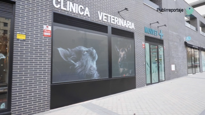Munvet, la clínica de Tres Cantos que mejor cuida a tus mascotas
