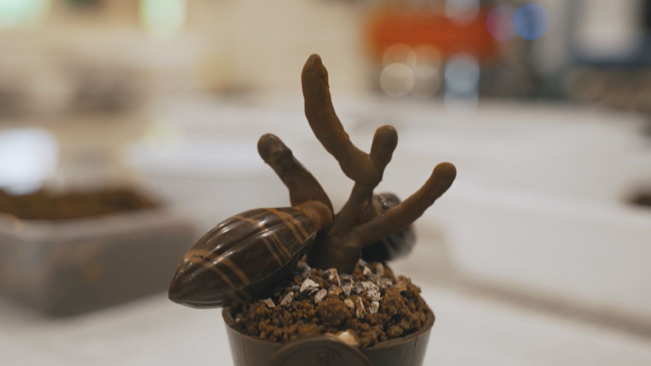 Dulces sueños y dulce despertar en este hostel de Pinto dedicado al chocolate