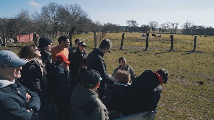 Ruta del Toro / Redacción