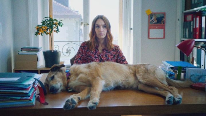 'El juicio del perro' / Pathé