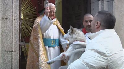 Madrid celebra las Fiestas de San Antón, patrón de los animales