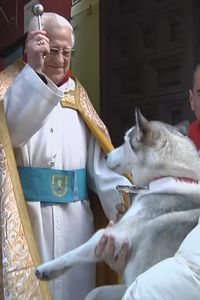 El padre Ángel bendice a un perro por San Antón