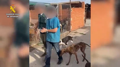 Investigan a un vecino de Cadalso de los Vidrios por maltrato animal tras hallar tres cachorros de perro muertos