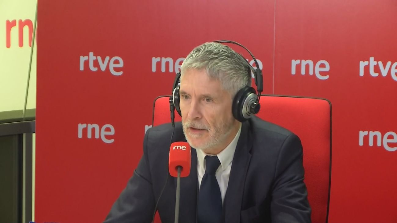 Marlaska confirma que ya ha prohibido a Aldama usar la medalla de Guardia Civil