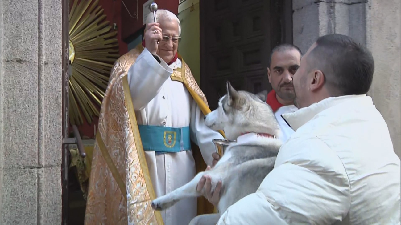 Bari, Golfo, Bon Jovi... las mascotas madrileñas reciben su bendición por San Antón