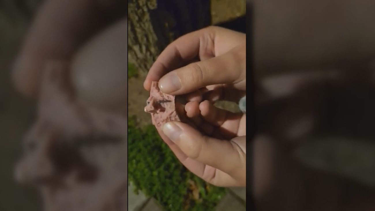 Denuncian la presencia de salchichas con clavos en las calles de Valdemorillo para dañar a los animales