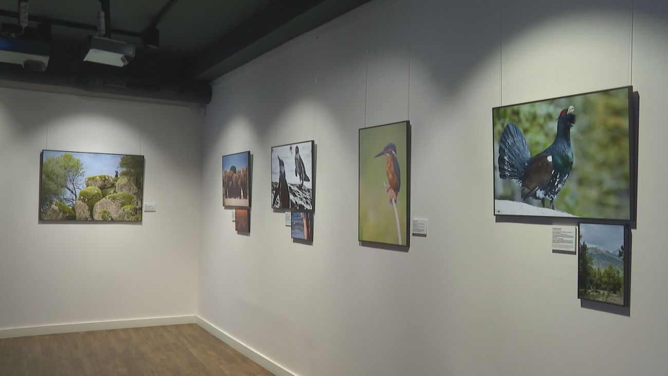 Una exposición fotográfica en Madrid para reflexionar sobre el cuidado del medioambiente
