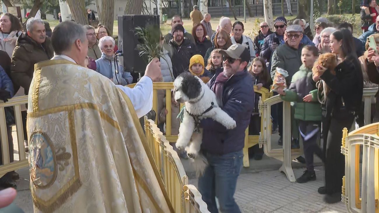 Pinto celebra por todo lo alto San Antón