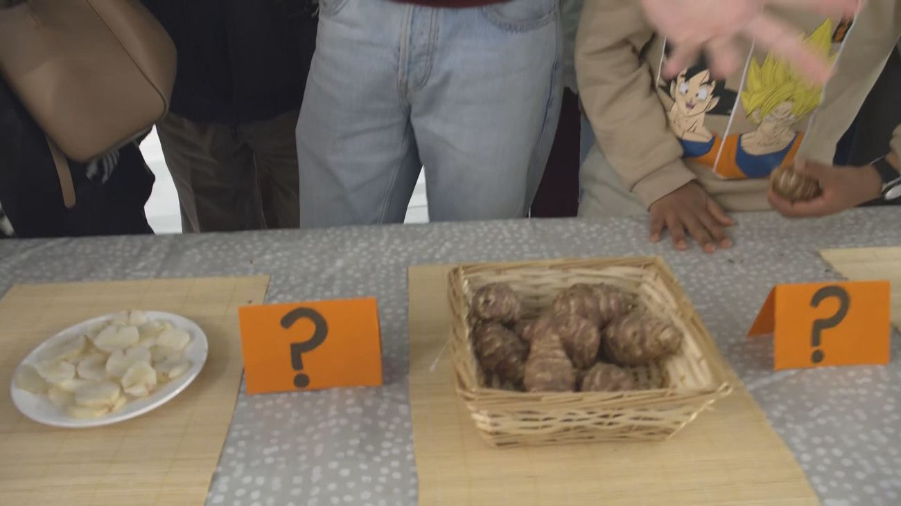 Jóvenes contra experimentados: ¿Qué es el tupinambo?