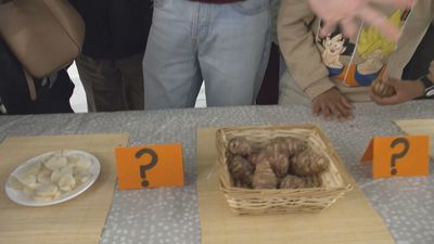 Jóvenes contra experimentados: ¿Qué es el tupinambo?