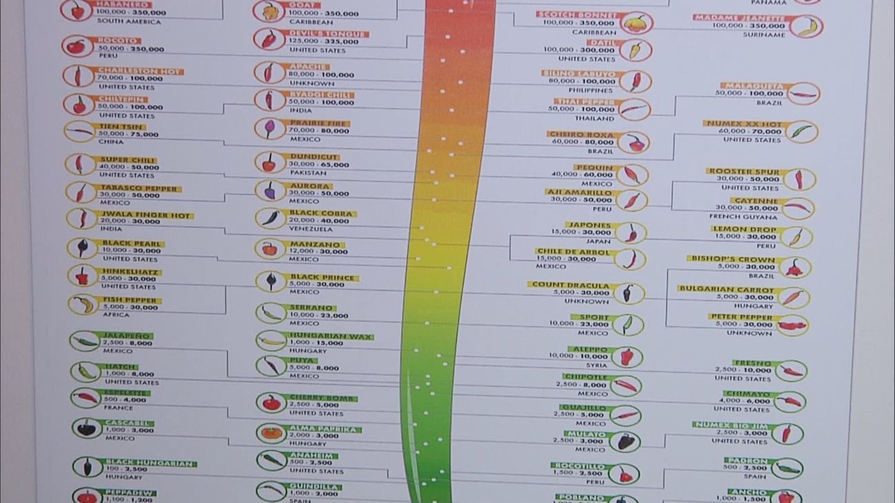 Madrid mejora tu vida 18.01.2025