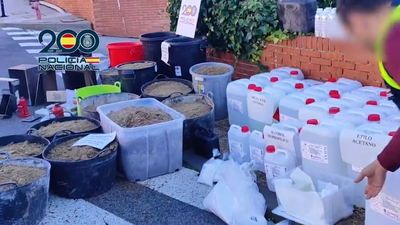 Desmantelan una red que traficaba con cocaína impregnada en cajas de cartón