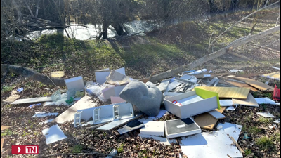 Denuncian vertidos ilegales, fogatas y daños a árboles en fincas municipales de Algete